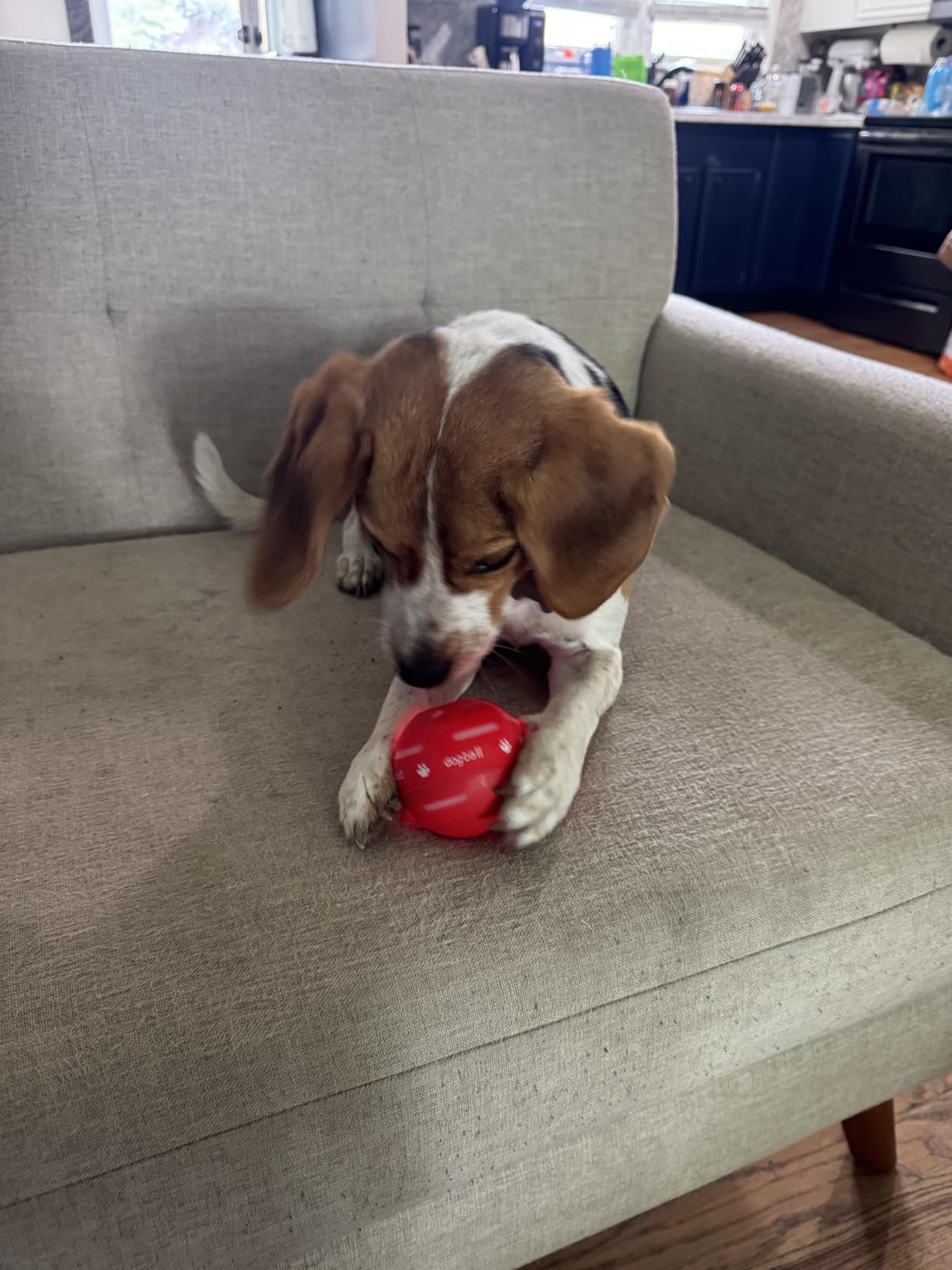 Jose Marquéz (Trujillo, Perú)