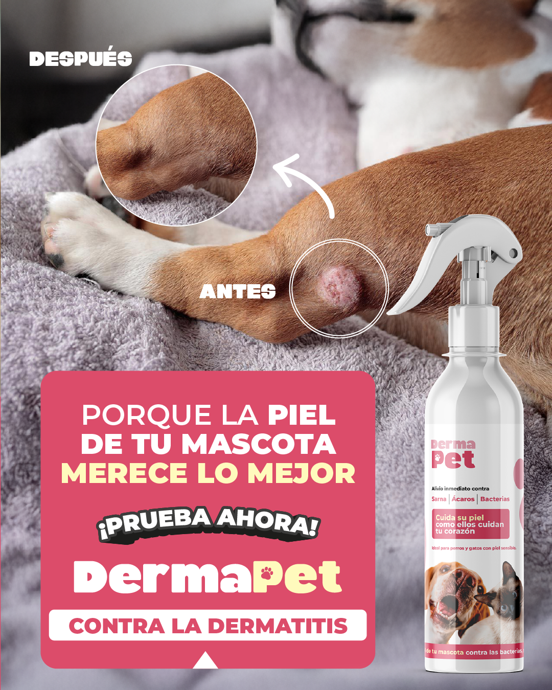 DERMAPETIS 🐶 Protege La Piel De Bacterias, Elimina Sarna y Ácaros 🐕🐈