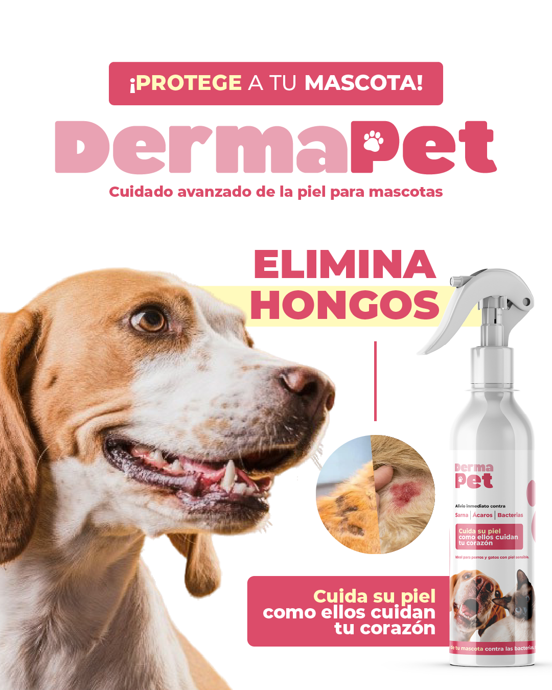 DERMAPETIS 🐶 Protege La Piel De Bacterias, Elimina Sarna y Ácaros 🐕🐈