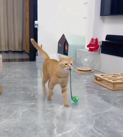 Sandra Martinez (Arequipa, Perú)