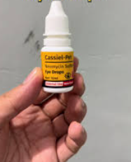 Jose Marquéz (Trujillo, Perú)