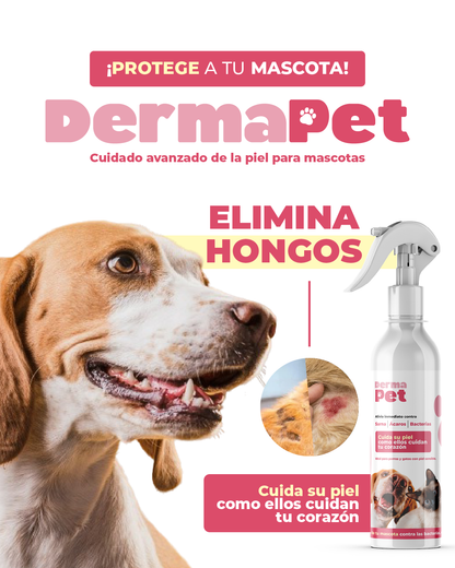 DERMAPETIS 🐶 Protege La Piel De Bacterias, Elimina Sarna y Ácaros 🐕🐈